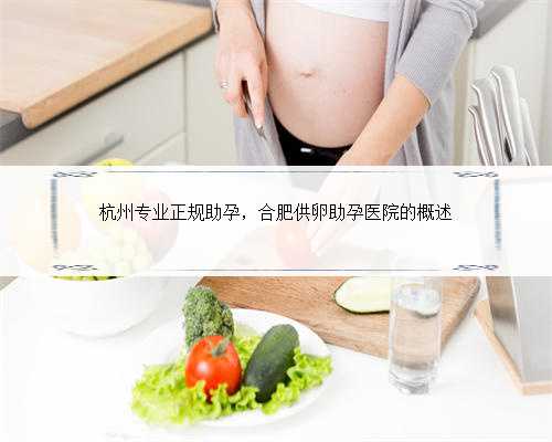 杭州专业正规助孕，合肥供卵